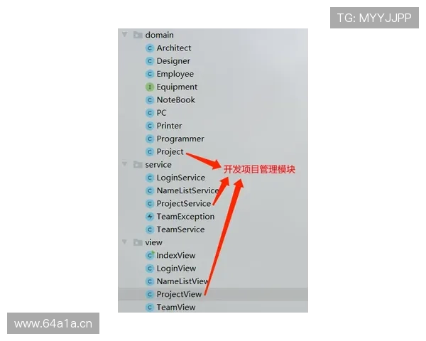 南特明日计划：管理挑战初显